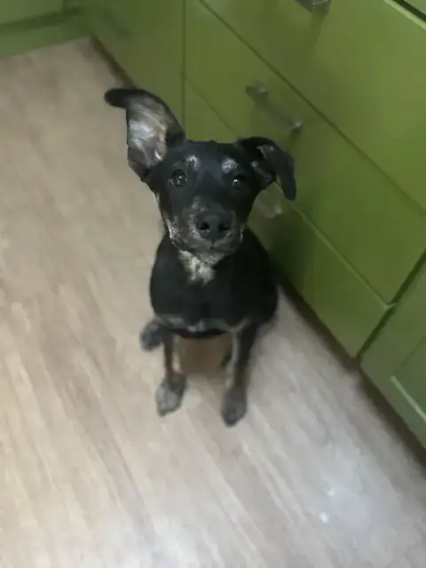 Miguel