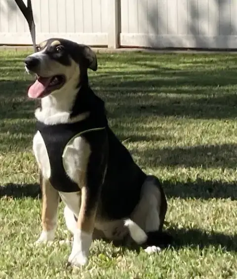Xena photo 3
