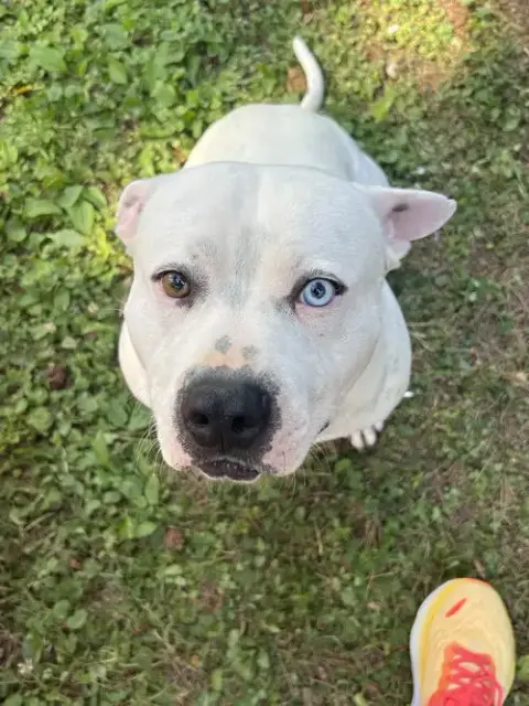 Sammy