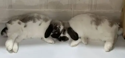 Roxanne And Theo photo 3