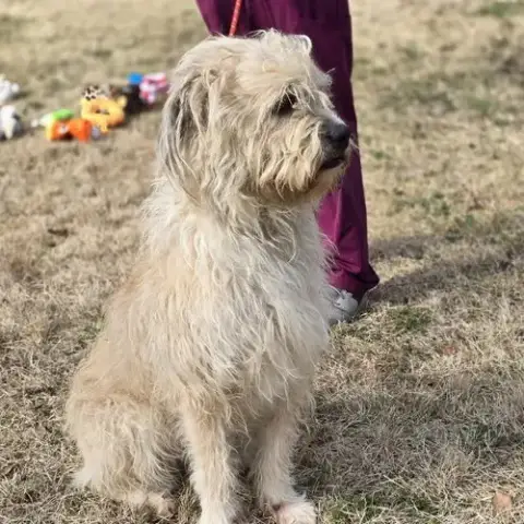 Little Man photo 3