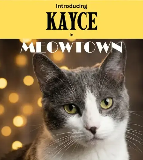 Kaycie