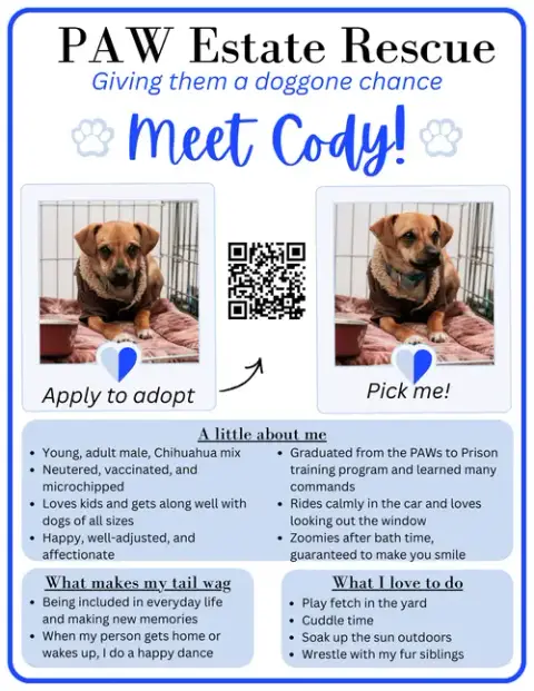 Cody photo 3