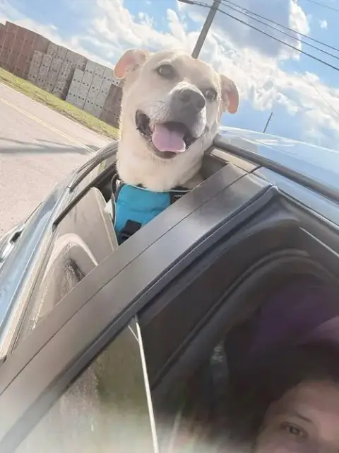 Gus photo 3