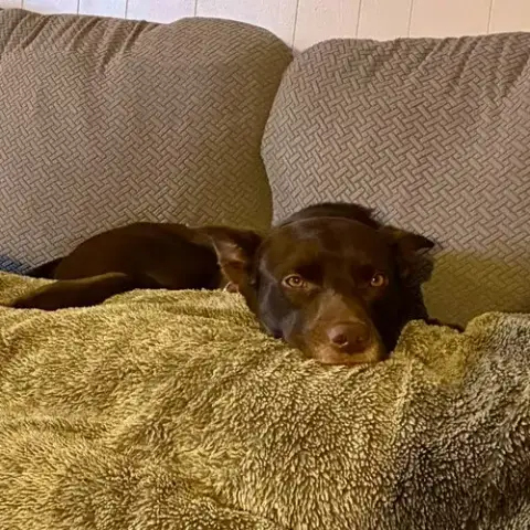 Loki photo 3