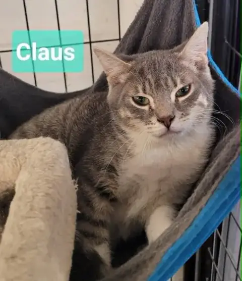 Claus photo 2