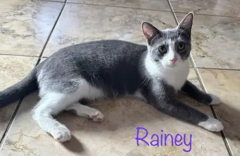 Rainey photo 2