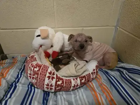 Esther photo 2
