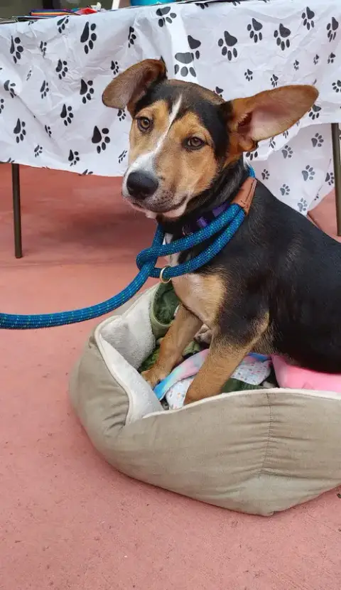 Mr .Melvin