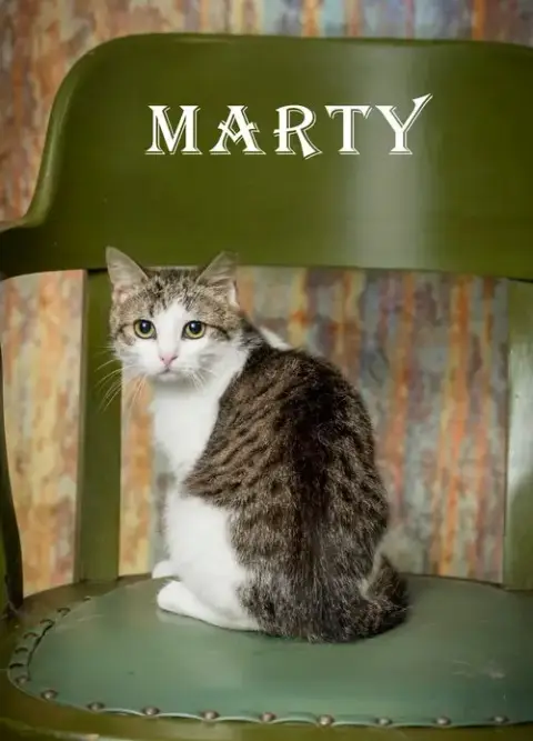 Marty