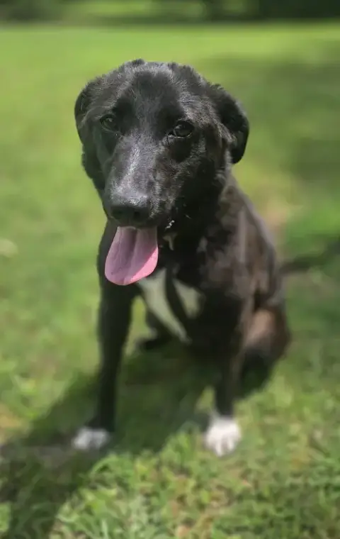 Daphne photo 2