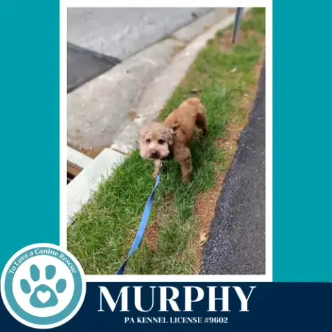 Murphy 042526 photo 3