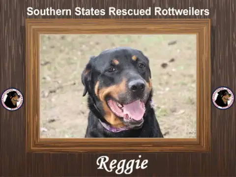 Reggie
