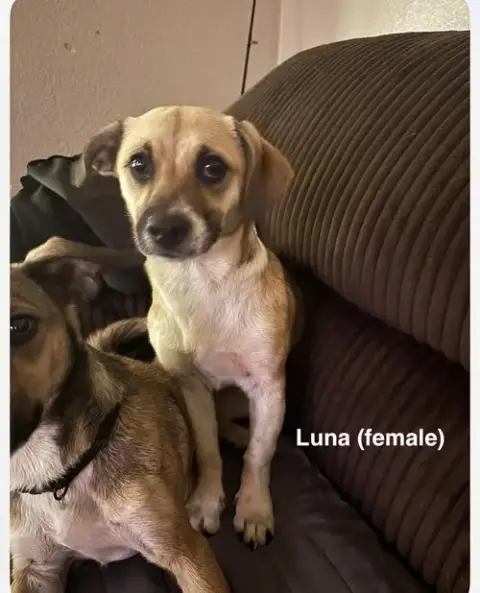 Luna And Zeus photo 2