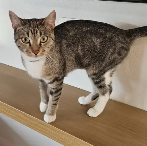 Sabrina