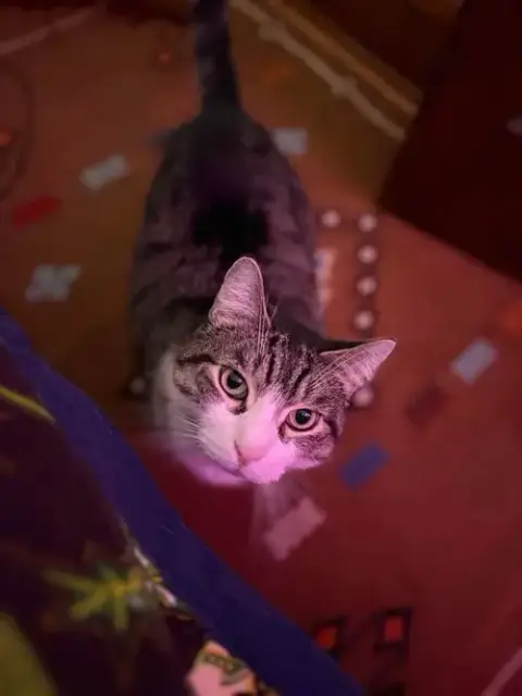 Toby photo 2