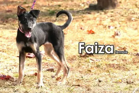 Faiza From Taiwan photo 3