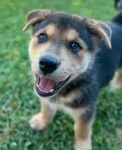 Tina