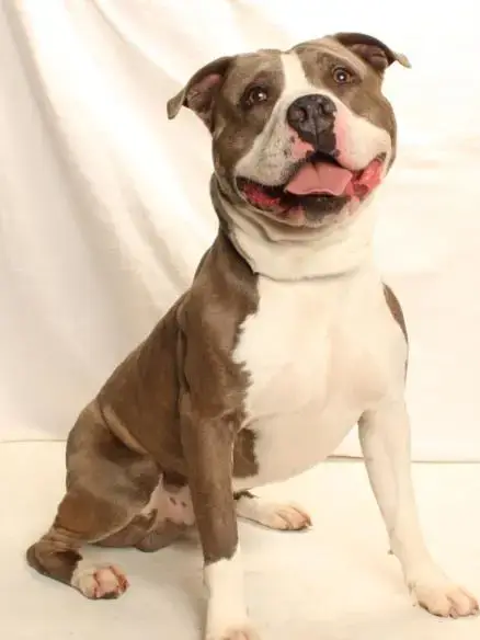 Milo