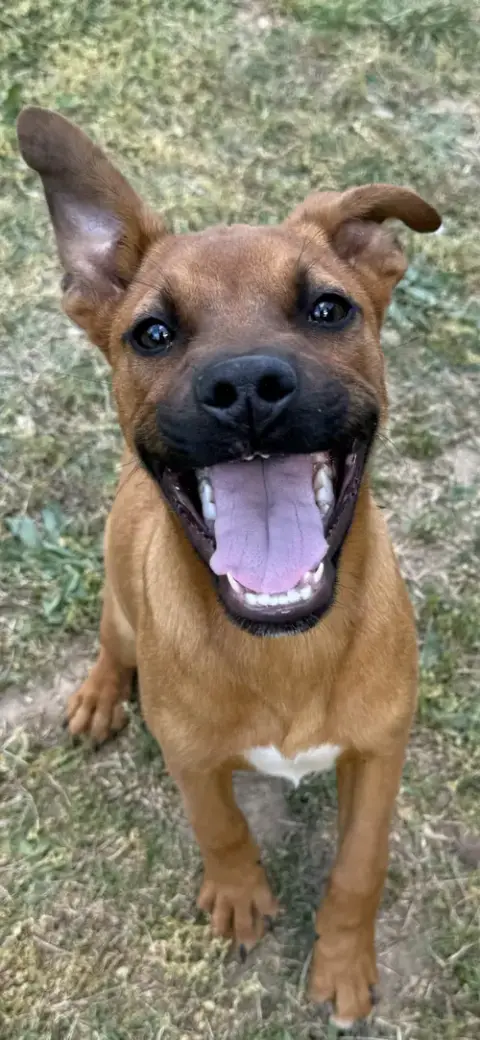 Duke