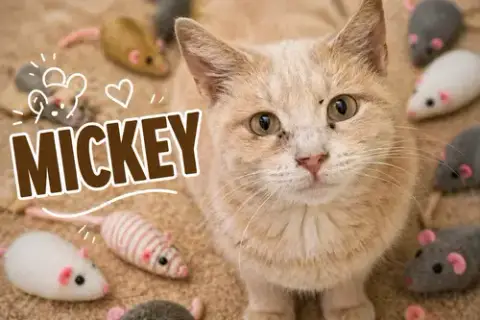 Mickey