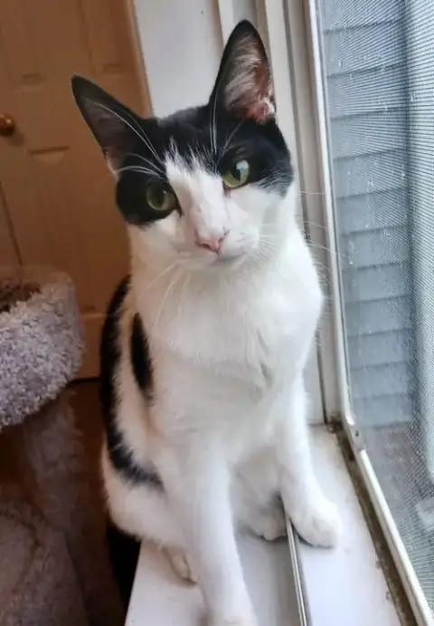 Berlioz