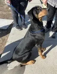 Aj