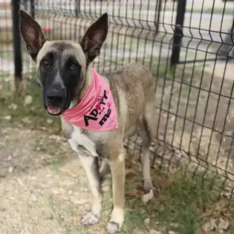 Lucy