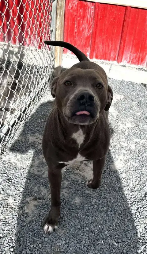 Winston photo 3
