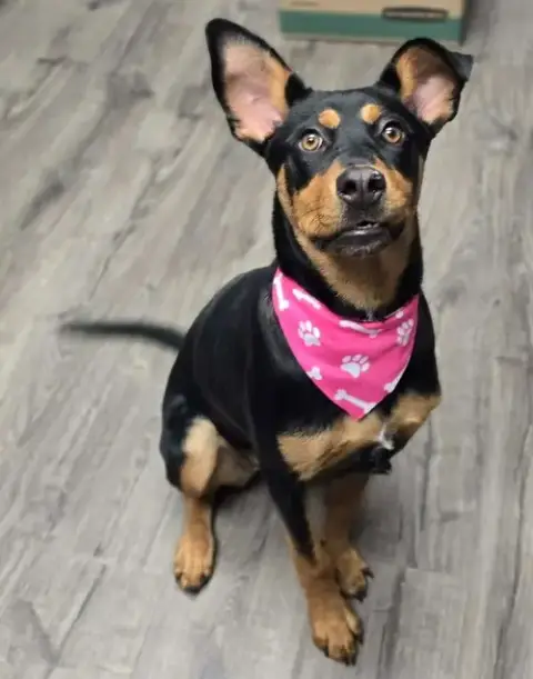 Baby Girl photo 4