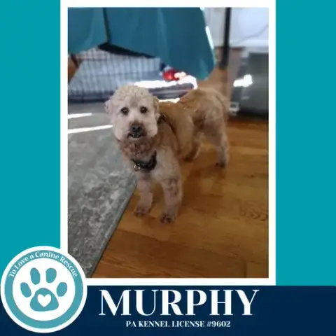 Murphy 042526 photo 2