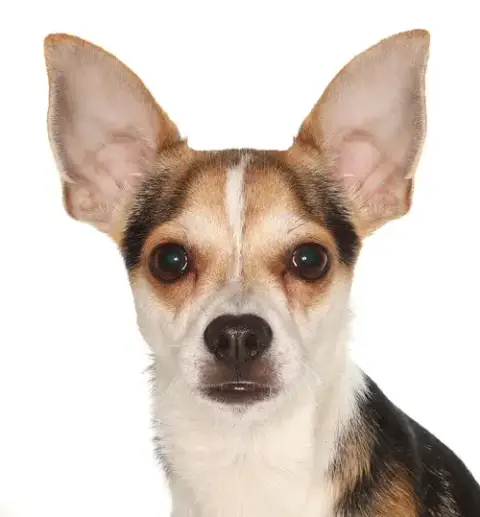 Jim