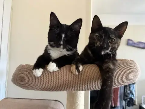 Birdie And Becca