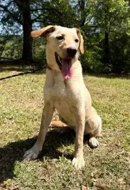 Coosa