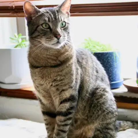 Clyde photo 2