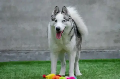 Max photo 2