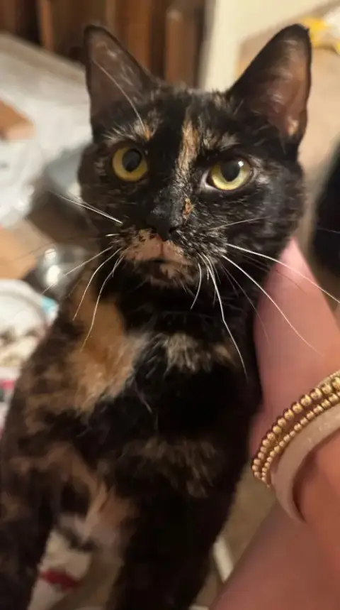 Luna photo 2