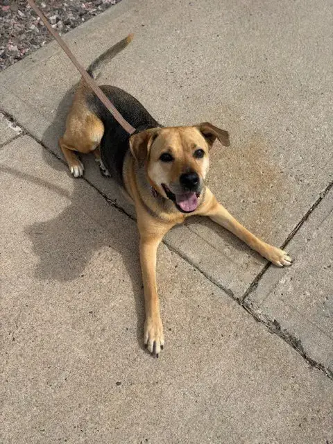 Sally #4 photo 2