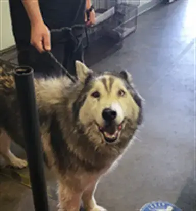 Duncan