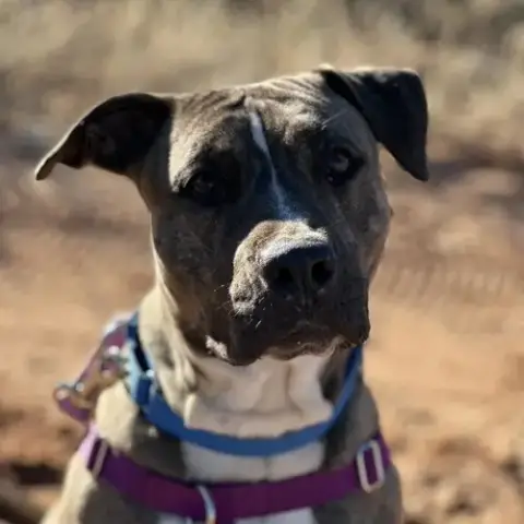 Lennie photo 4