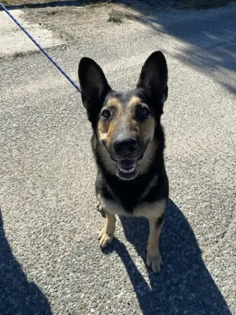 Dakota photo 2