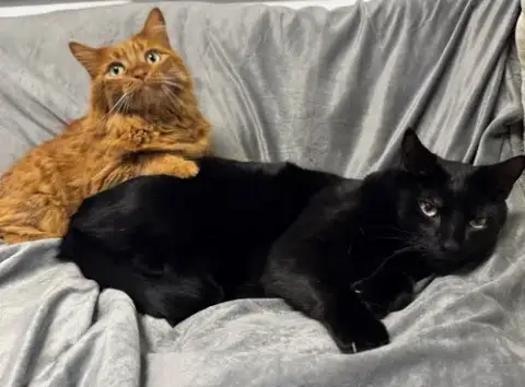 Peaches & Eddie