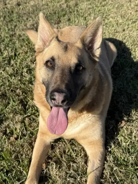 Irwin photo 2