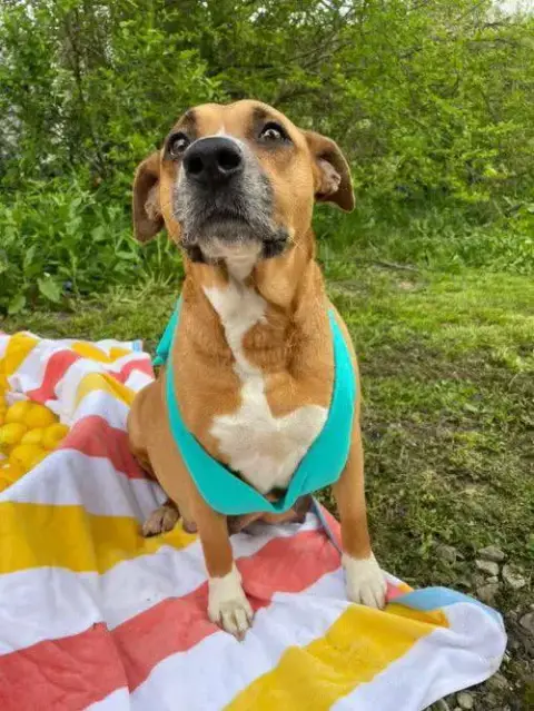 Penelope