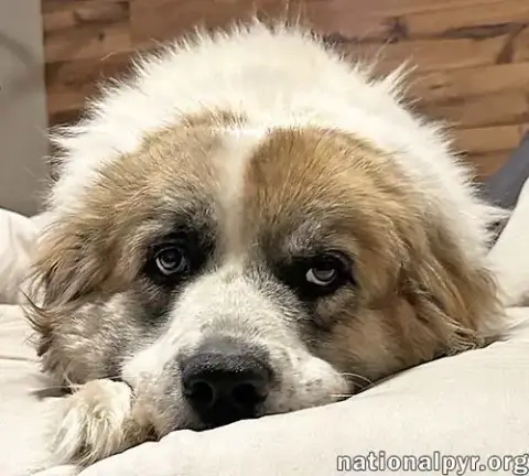 Lucky In Tn photo 3