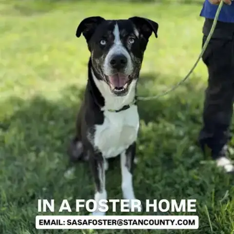 *Ruger