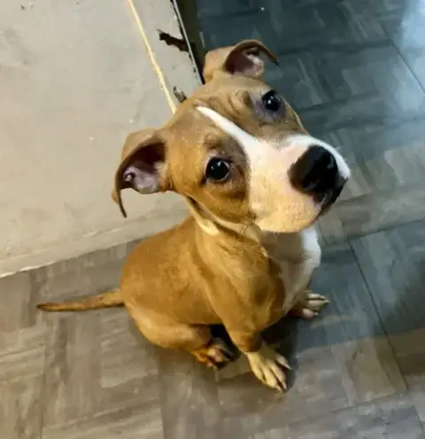 Baby Daisy photo 2