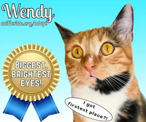 Wendy