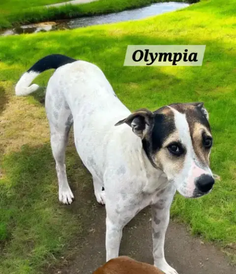 Olympia photo 5