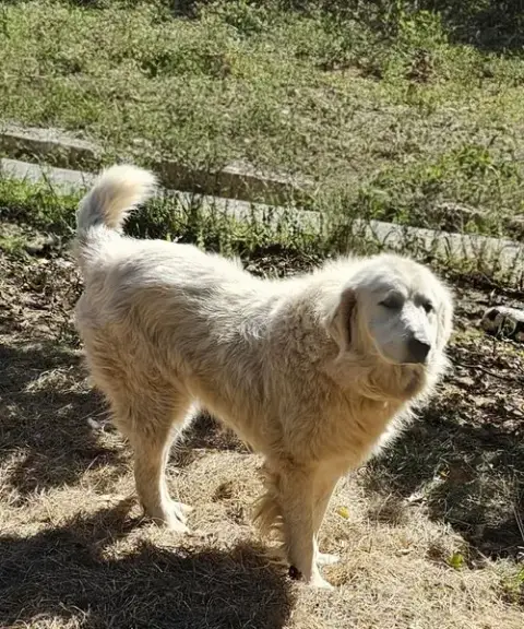 Sofie photo 3